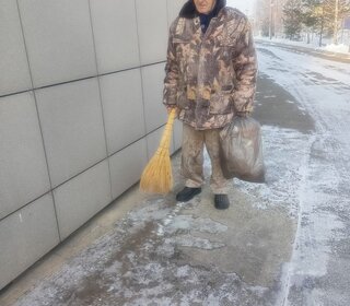 Помощь в работе учреждения СГО