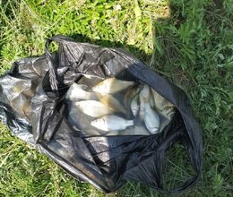 ВЫЕЗД ЖИТЕЛЕЙ НА РЫБАЛКУ