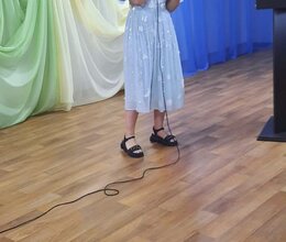 Концертные мероприятия в СГО