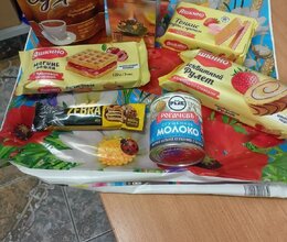 Международный день пожилых людей в СГО