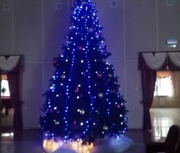 Новый год 2025!