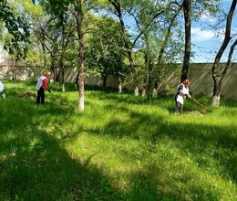 Помощь в уборке территории сотрудниками ПАО Сбербанка