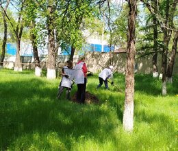 Помощь в уборке территории сотрудниками ПАО Сбербанка