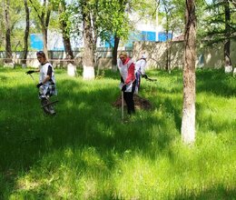 Помощь в уборке территории сотрудниками ПАО Сбербанка