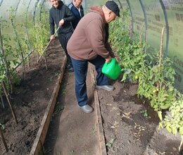 Теплица в СГО