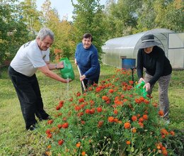 Теплица в СГО