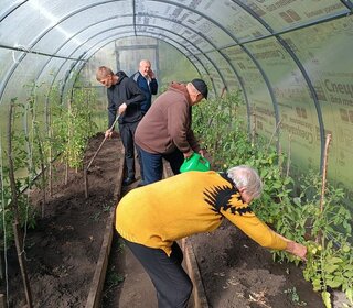 Теплица в СГО