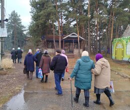 Прогулка в Минусинском бору 