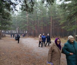 Прогулка в Минусинском бору 