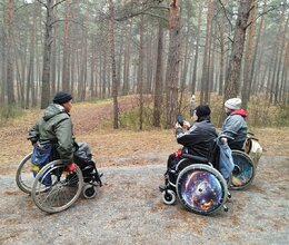 Прогулка в Минусинском бору 