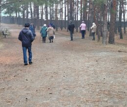 Прогулка в Минусинском бору 