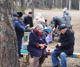 Прогулка в Минусинском бору 