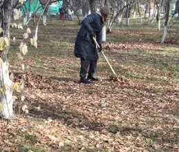 Продолжаем благоустройство территории в пансионате под ярким осенним солнцем