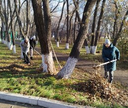 Продолжаем благоустройство территории в пансионате под ярким осенним солнцем