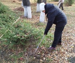 Продолжаем благоустройство территории в пансионате под ярким осенним солнцем