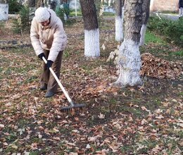 Продолжаем благоустройство территории в пансионате под ярким осенним солнцем