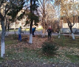 Очередной субботник в пансионате, приуроченный к Дню народного единства