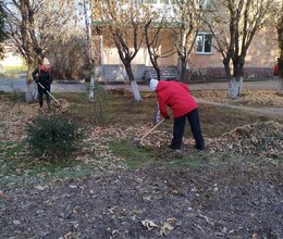 Очередной субботник в пансионате, приуроченный к Дню народного единства