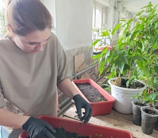 Цветочное волшебство