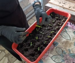 Цветочное волшебство