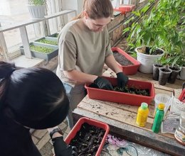 Цветочное волшебство