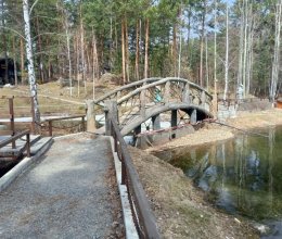 Сегодняшняя экскурсия: яркие впечатления, эмоции и незабываемые моменты