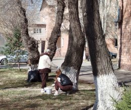 Прекрасная весенняя погода вдохновила нас на трудовые дела!