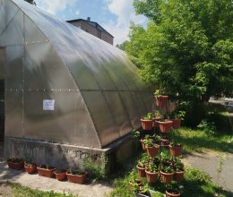Приятное времяпровождение за игрой-отличный досуг для пожилых людей