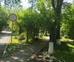 Приятное времяпровождение за игрой-отличный досуг для пожилых людей