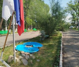 Приятное времяпровождение за игрой-отличный досуг для пожилых людей