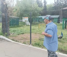 Летняя прогулка по зоопарку