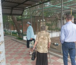 Летняя прогулка по зоопарку