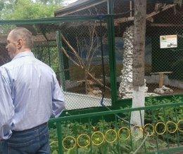 Летняя прогулка по зоопарку