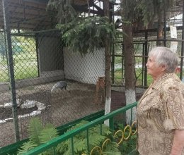 Летняя прогулка по зоопарку