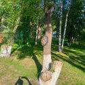 Дартс на открытом воздухе