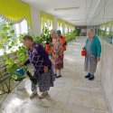 Трудотерапия в действии: уход за растениями и другие полезные занятия — здоровье и настроение в одном кадре.