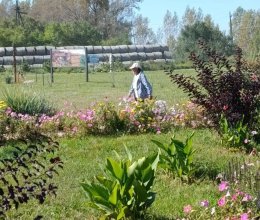 День лошади -отметили наши жители в 