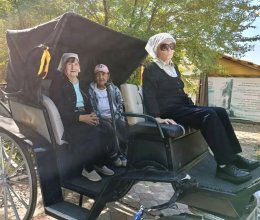 День лошади -отметили наши жители в 