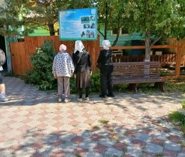День лошади -отметили наши жители в 