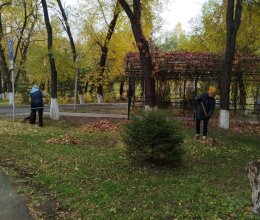 Осенняя уборка территории и подготовка к зиме: еженедельная работа пансионата