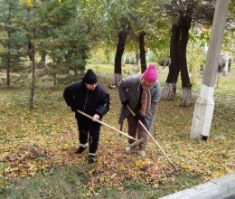 Осенняя уборка территории и подготовка к зиме: еженедельная работа пансионата