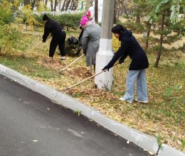 Осенняя уборка территории и подготовка к зиме: еженедельная работа пансионата