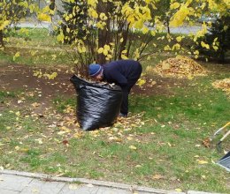 Осенняя уборка территории и подготовка к зиме: еженедельная работа пансионата