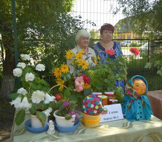 День города - 2017